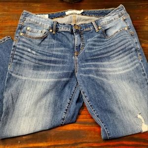Torrid sz 16 womens Jeans